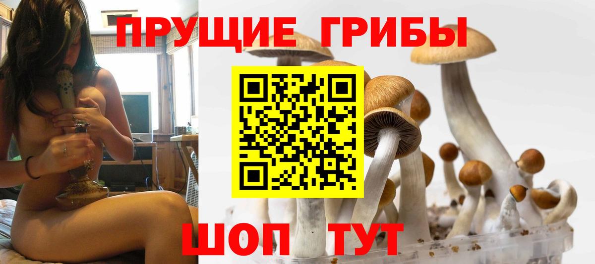 Гусиноозёрск  Псилоцибиновые грибы GOLDEN TEACHER  Галлюциногенные грибы Cubensis  Вход с VPN 