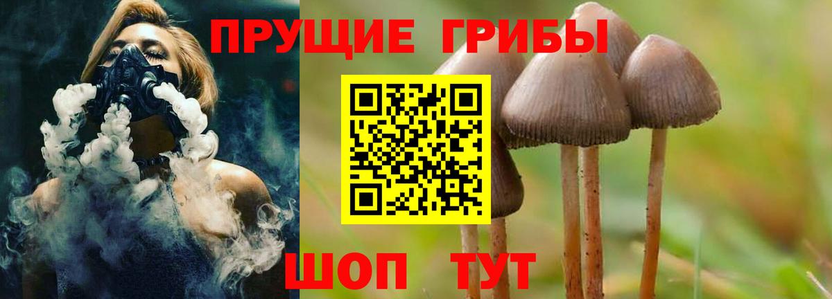 Галлюциногенные грибы мухоморы Гусиноозёрск